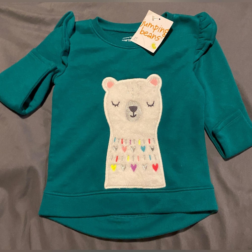 Green sweater polar bear size 2T in girls brand from jumping beans